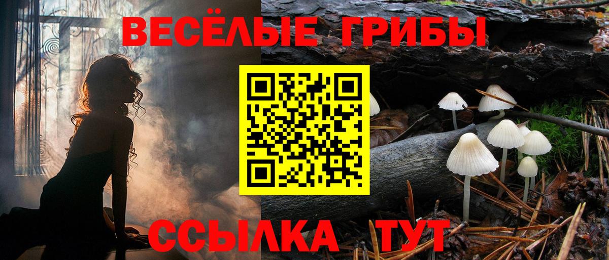 Псилоцибиновые грибы мицелий Лосино-Петровский